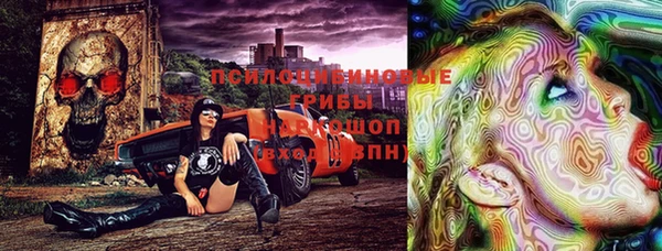 стаф Вязники