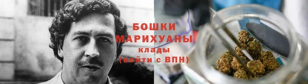 стаф Вязники