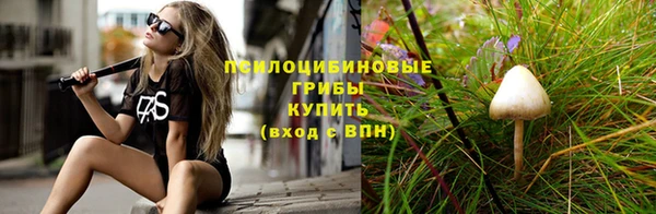 стаф Вязники