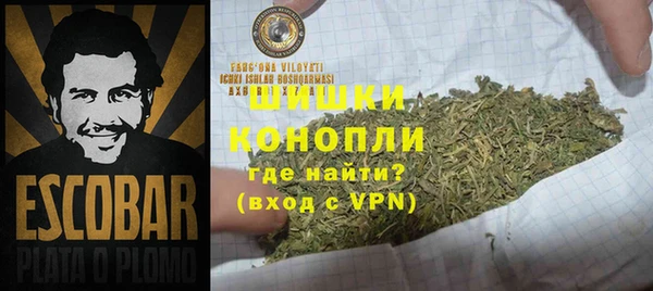 стаф Вязники